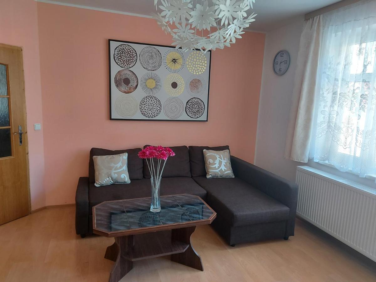 Apartman Jachymov Krusne Hory Eksteriør bilde